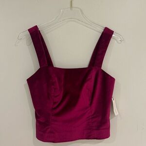 Maeve Anthropologie pink magenta velvet crop